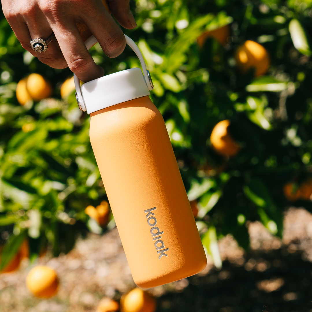 Kodiak | Impact Bottle 250ml