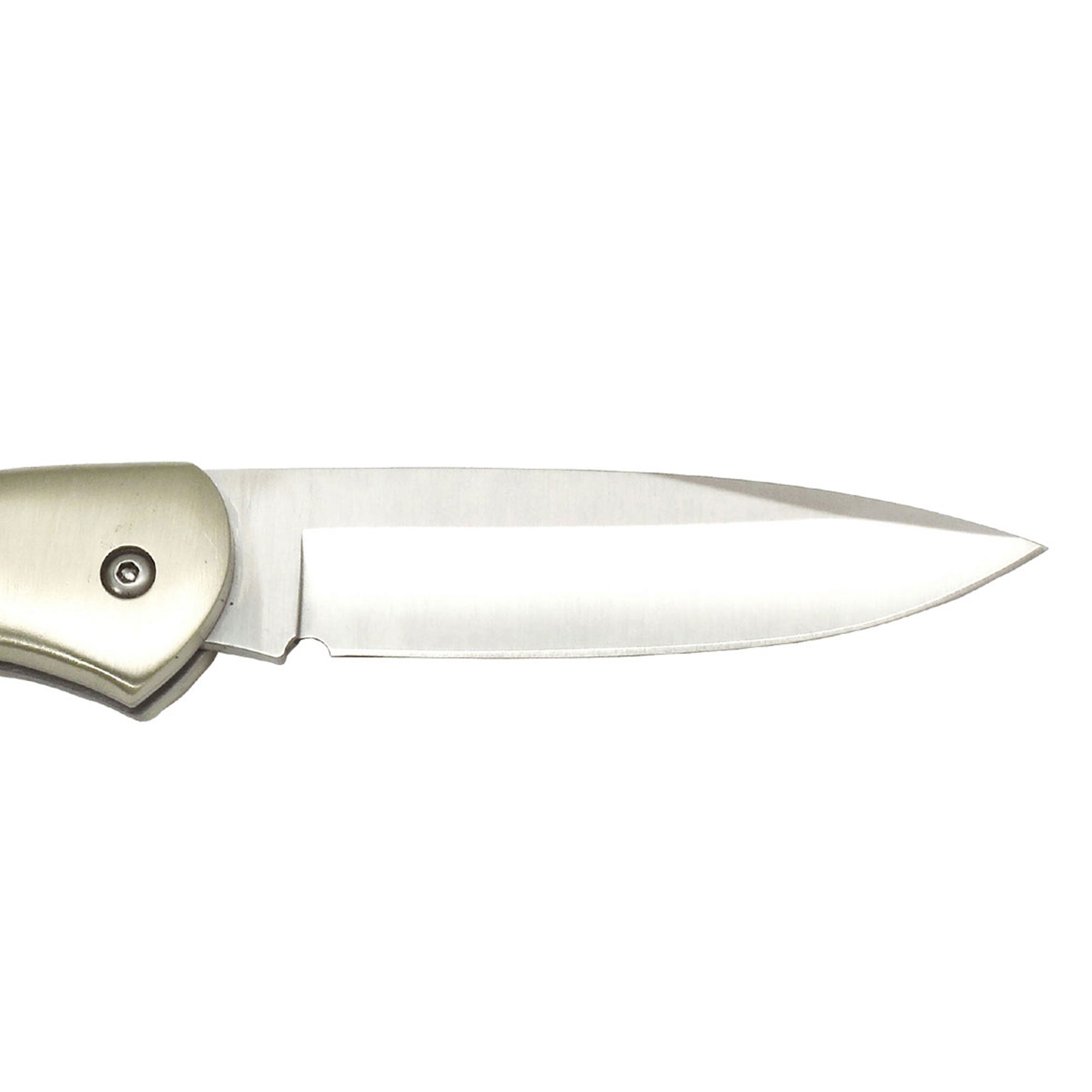 Muela | BX-8.OL Lockback - Olive Handle Knife