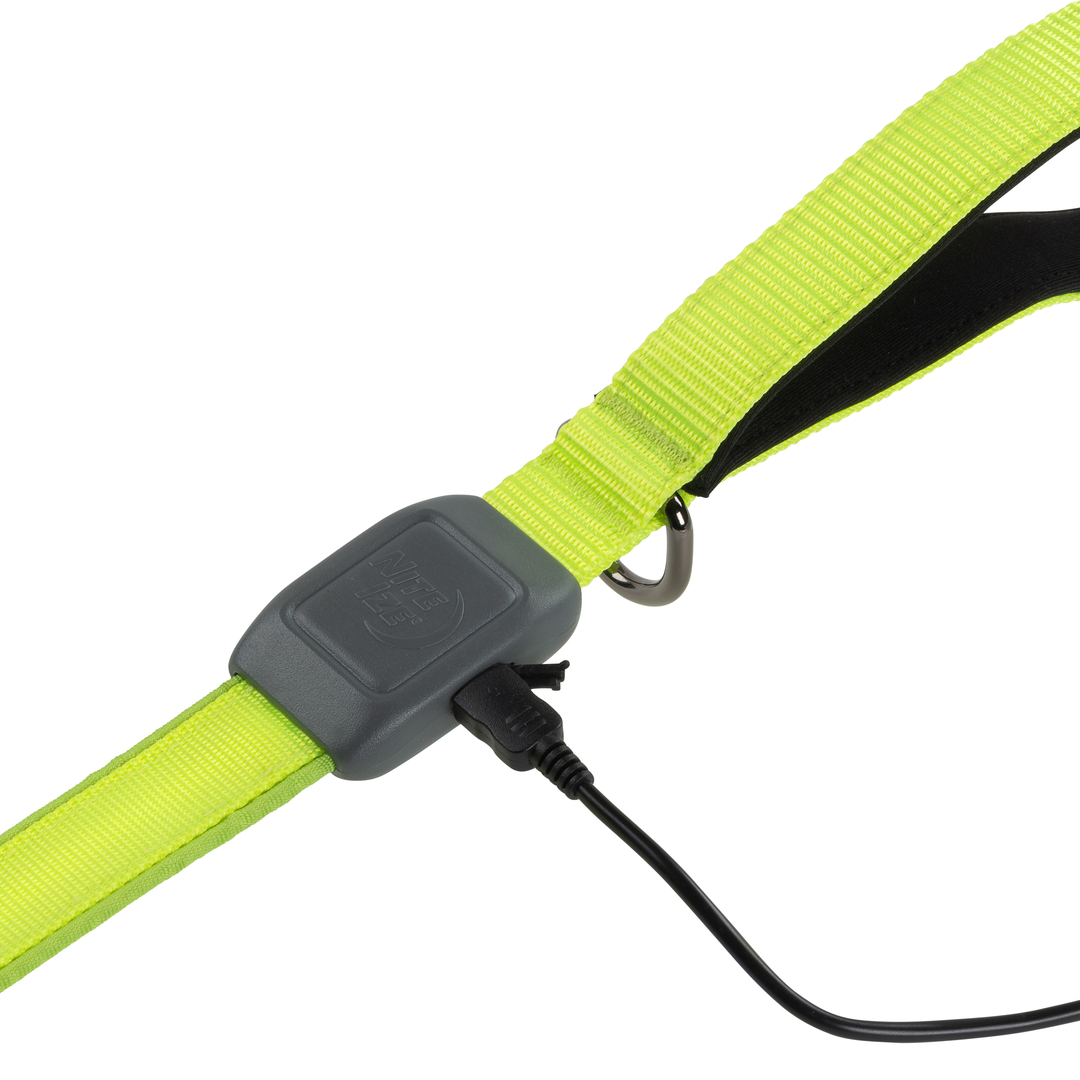 Nite Ize Pet | NiteDog Rechargeable LED Leash