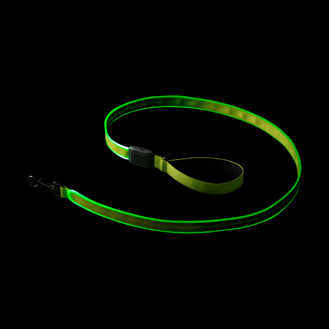 Nite Ize Pet | NiteDog Rechargeable LED Leash