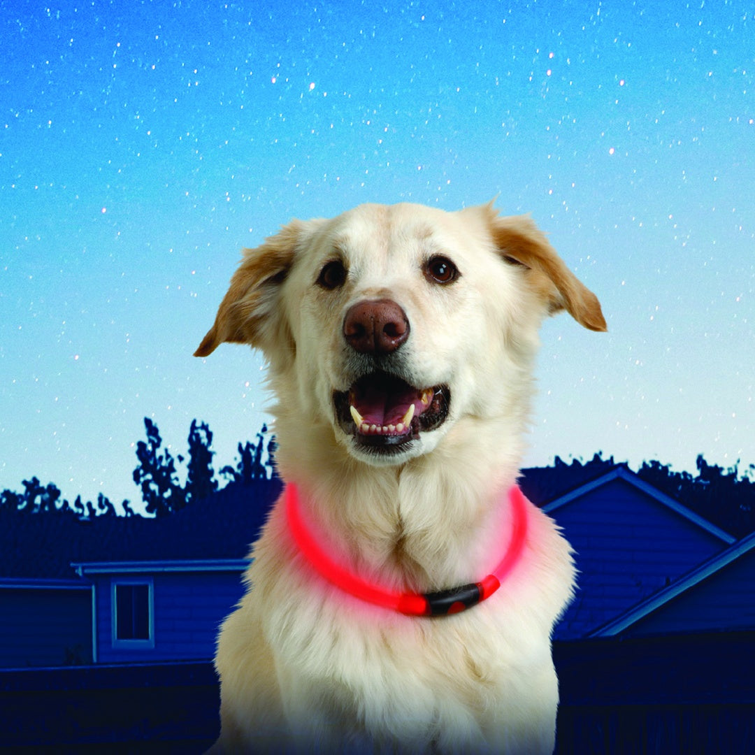 Nite Ize Pet | NiteHowl LED Safety Necklace