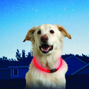 Nite Ize Pet | NiteHowl LED Safety Necklace
