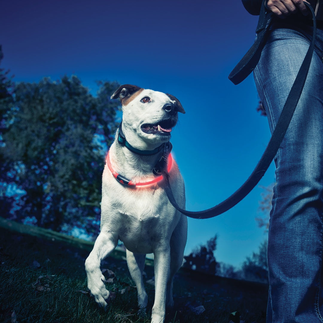 Nite Ize Pet | NiteHowl LED Safety Necklace