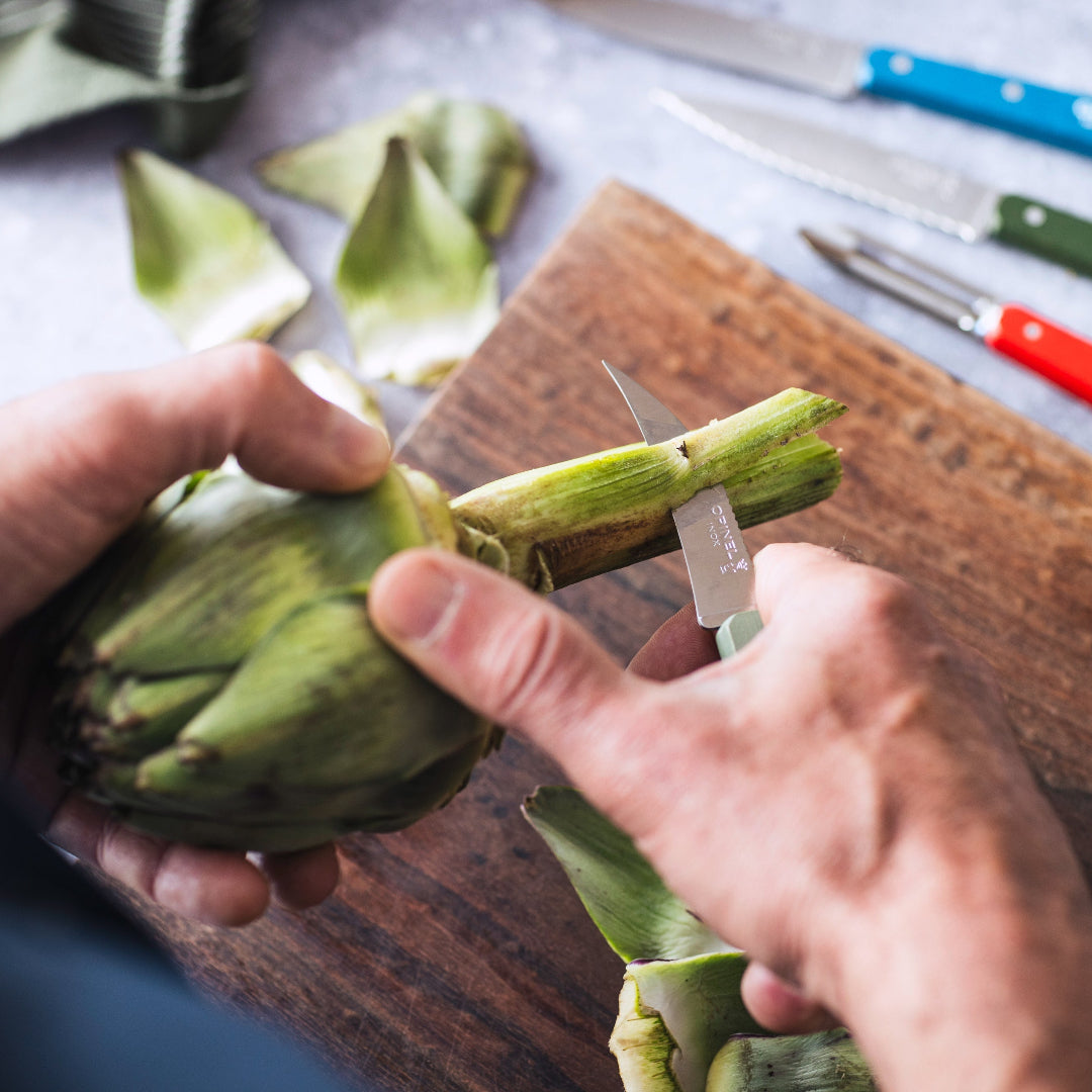 Opinel | Les Essentiels Vegetable Knife N°114 Paysage