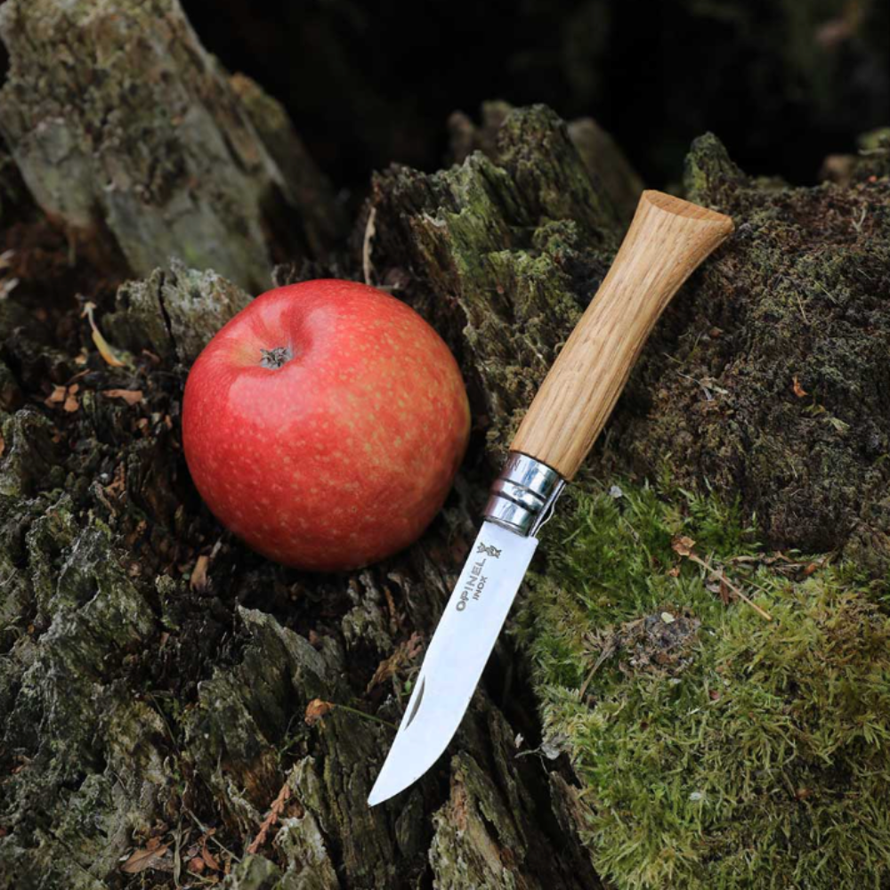 Opinel | Traditional No.06 Stainless Steel Folding Knife