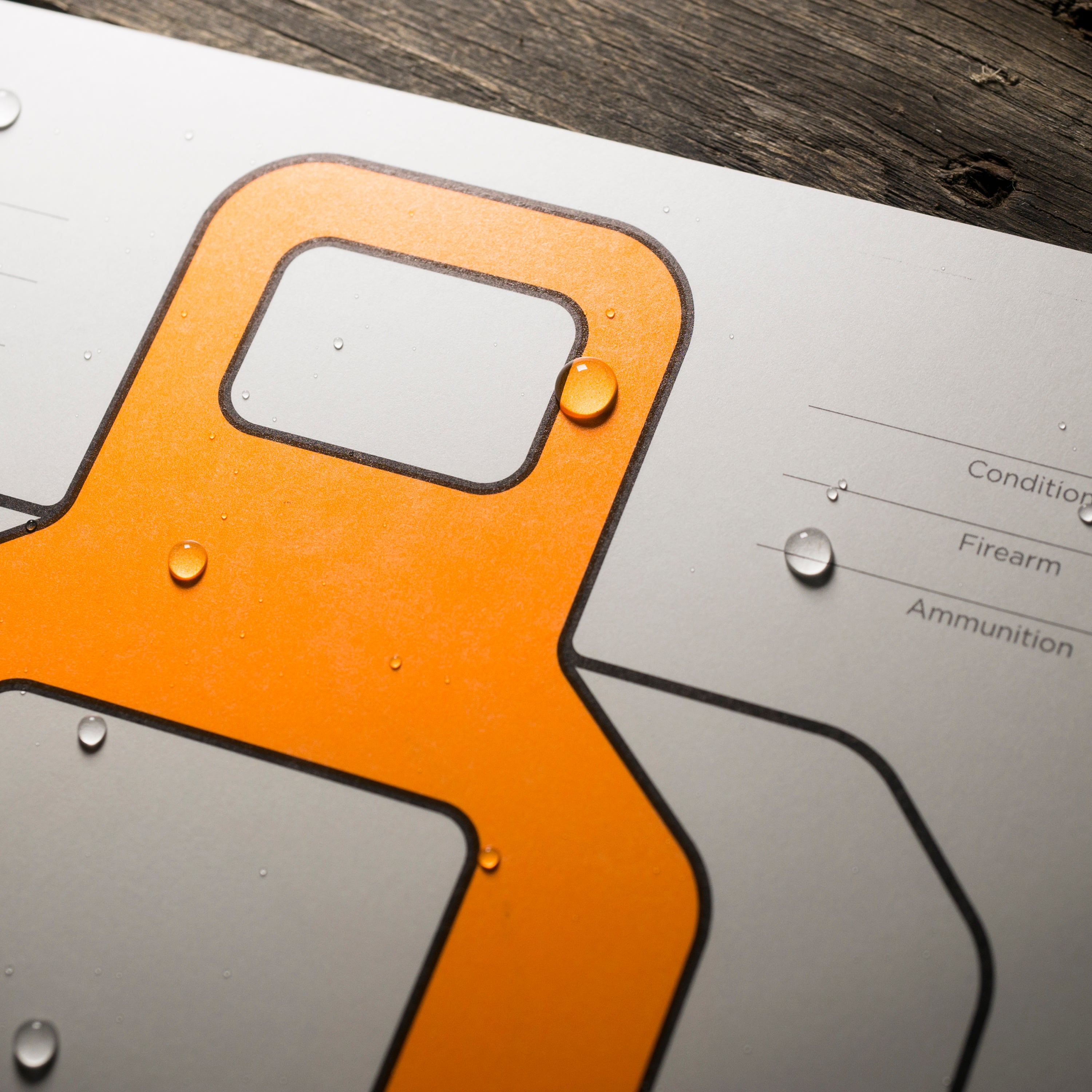 Rite in the Rain | All Weather Target Sheets