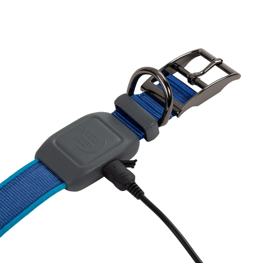Nite Ize Pet | NiteDog Rechargeable LED Collar