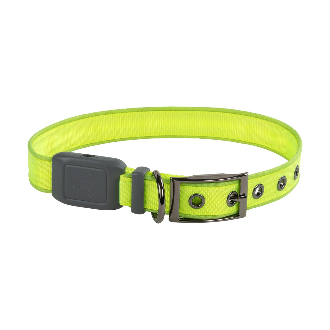 Nite Ize Pet | NiteDog Rechargeable LED Collar