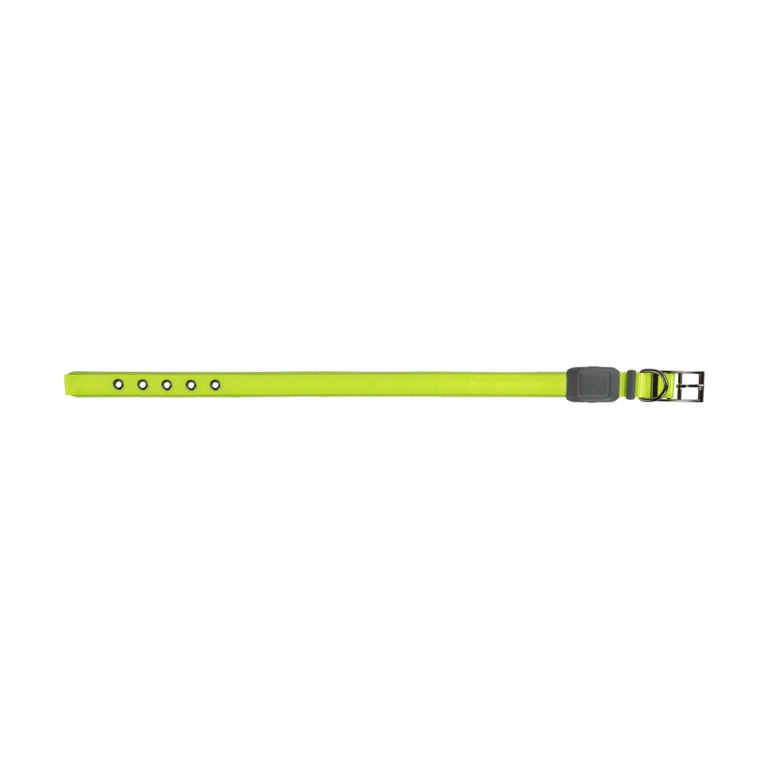 Nite Ize Pet | NiteDog Rechargeable LED Collar