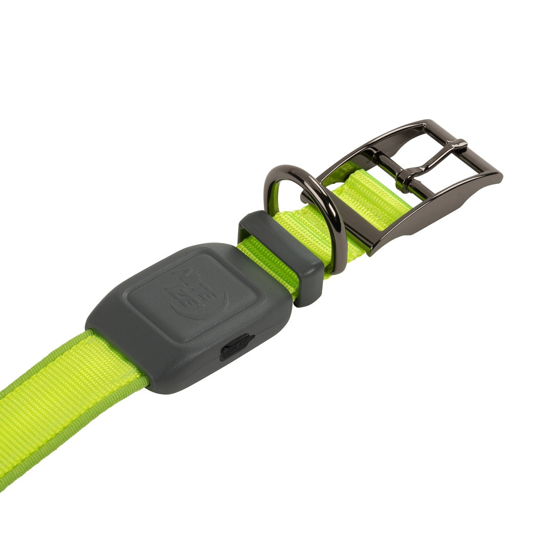 Nite Ize Pet | NiteDog Rechargeable LED Collar