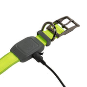Nite Ize Pet | NiteDog Rechargeable LED Collar