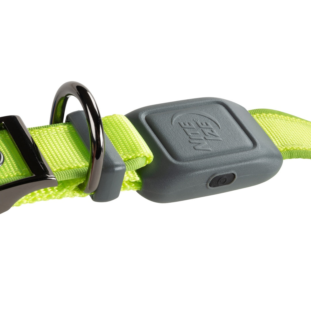 Nite Ize Pet | NiteDog Rechargeable LED Collar