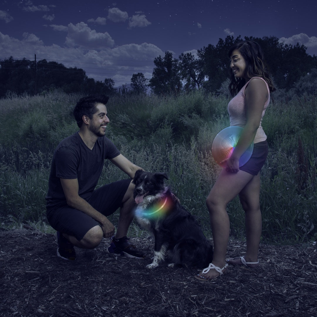 Nite Ize Pet | NiteHowl Rechargeable LED Safety Necklace - Disc-O Select