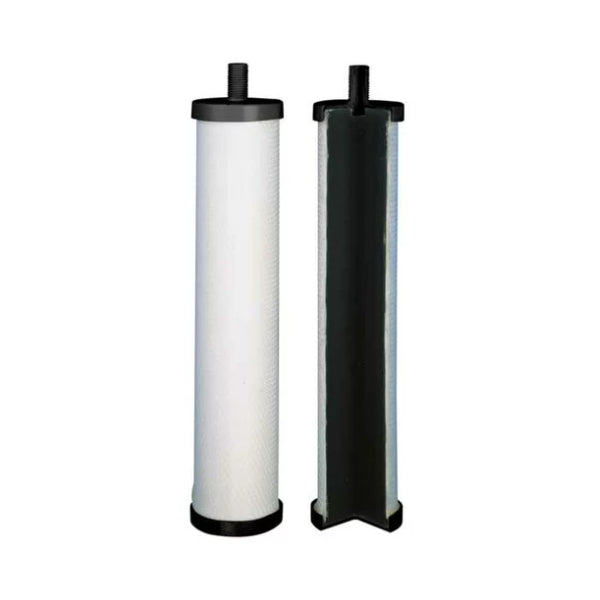 XP20704Carbodyn.jpg