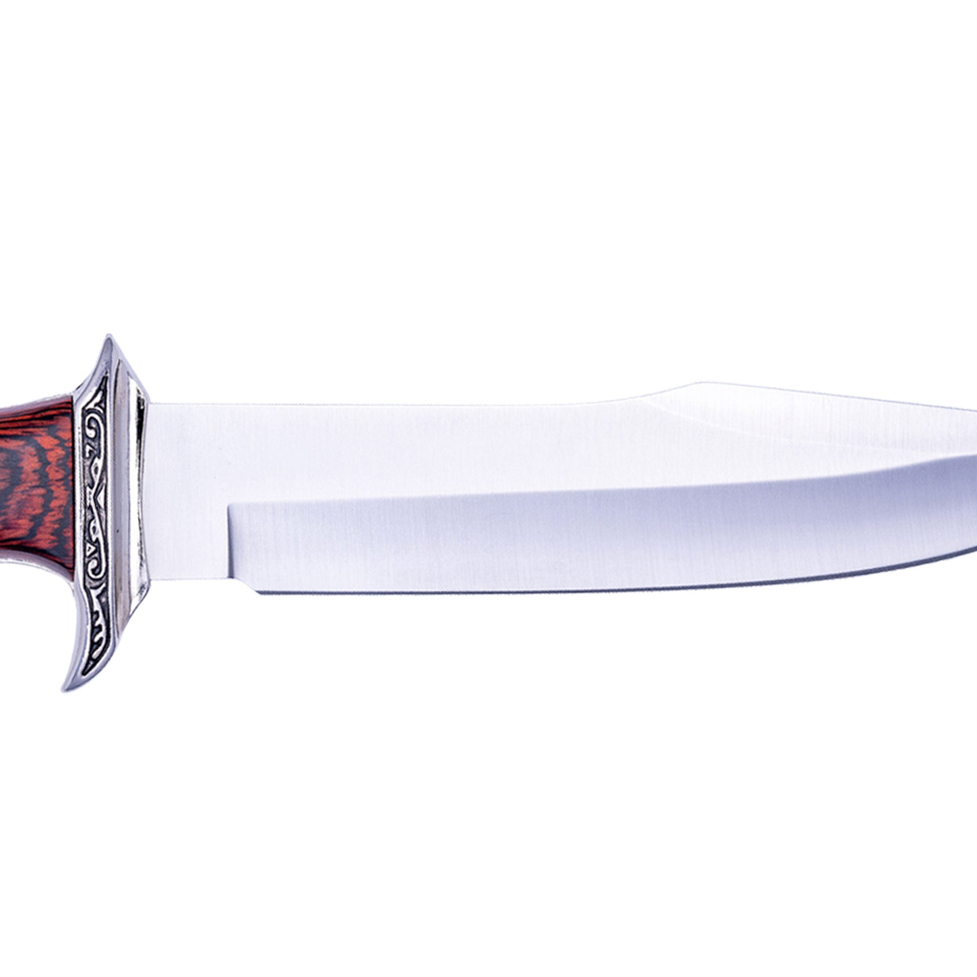 Muela | Venecia Bowie Knife