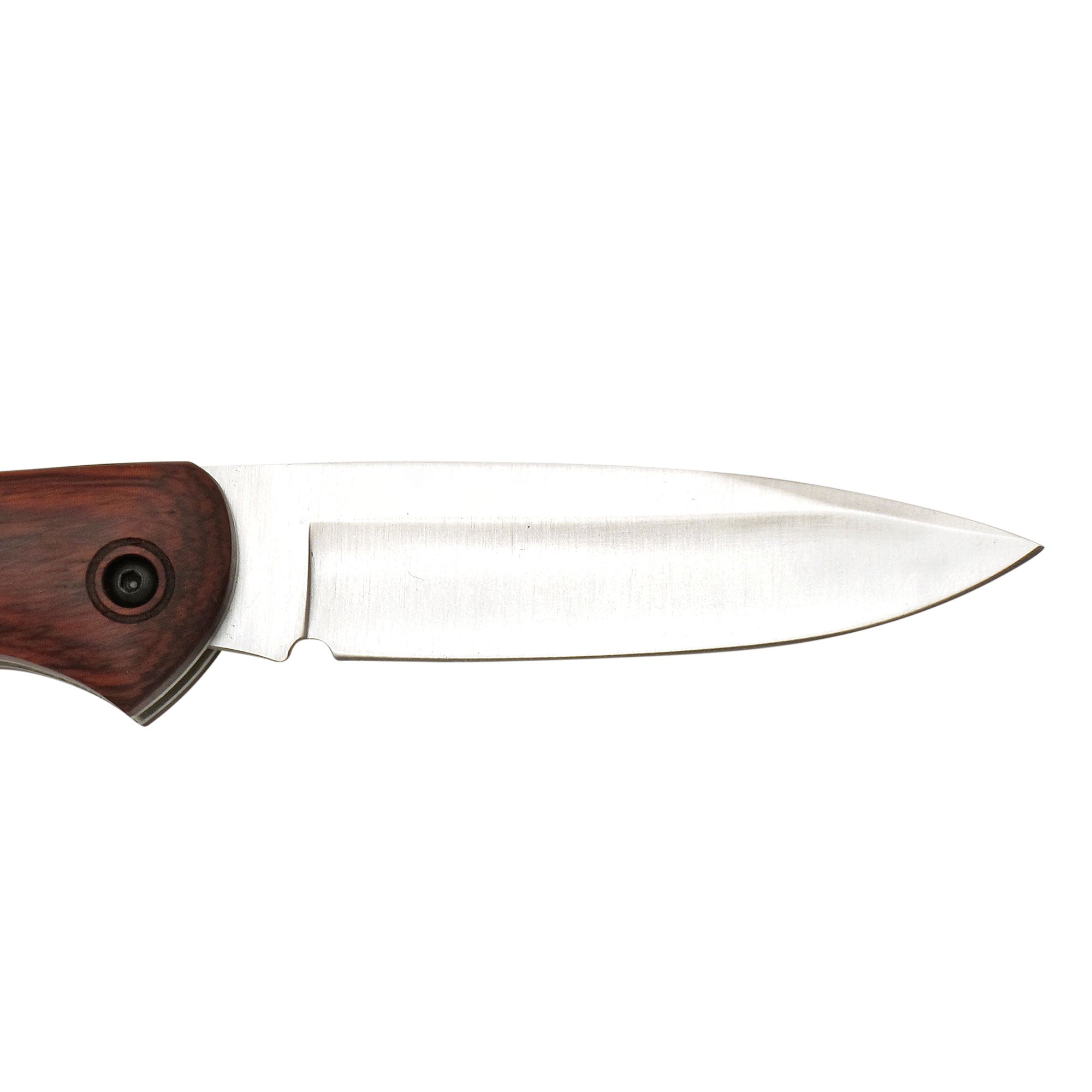 Muela | BX-8LR Lockback - Textured Coral Handle Knife