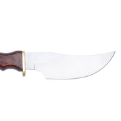 Muela | DP-10M - Coral Handle Knife