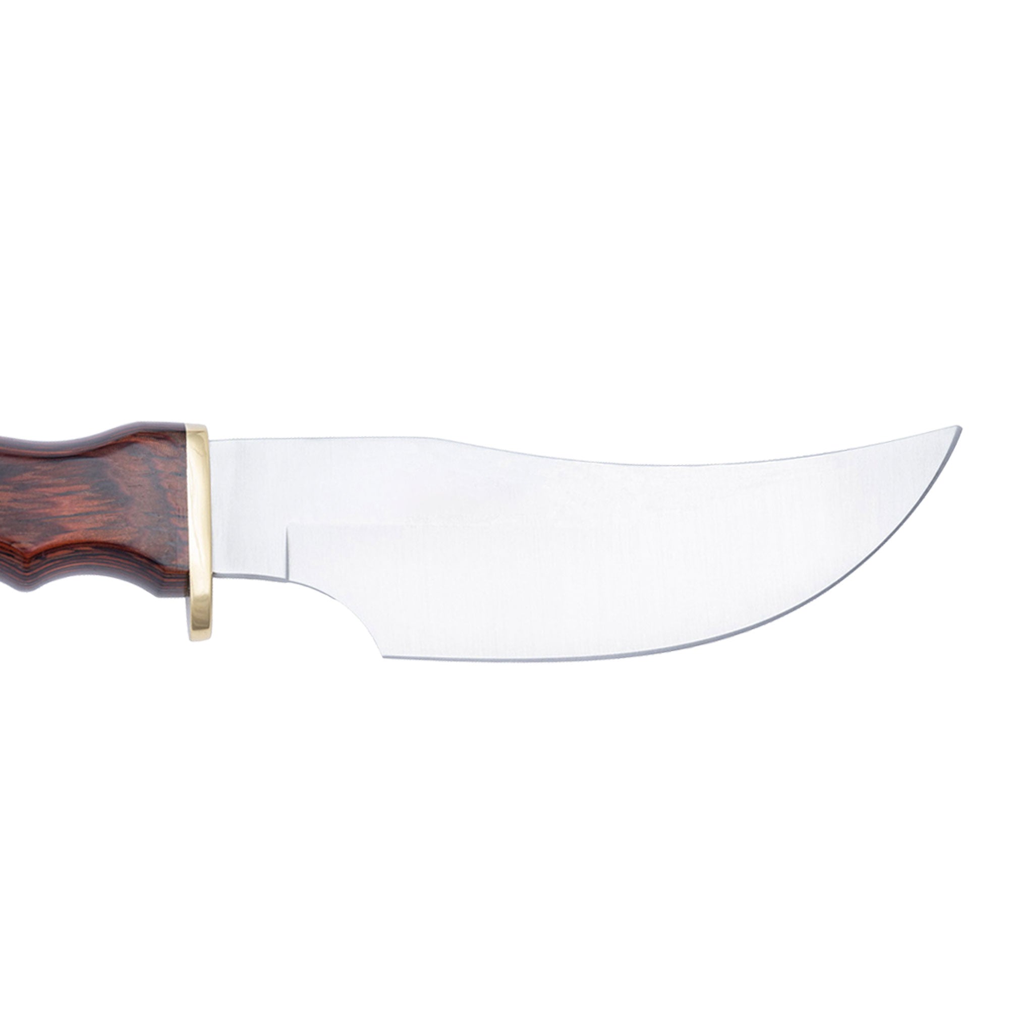 Muela | DP-10M - Coral Handle Knife