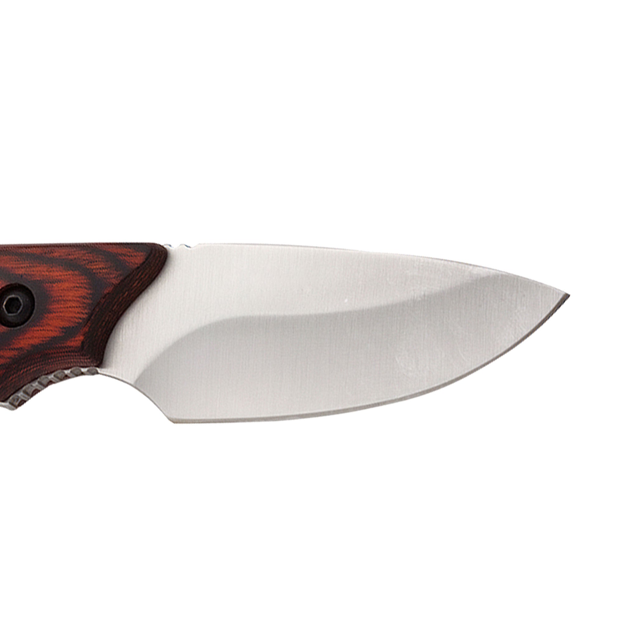 Muela | Ibex Hunter Knife