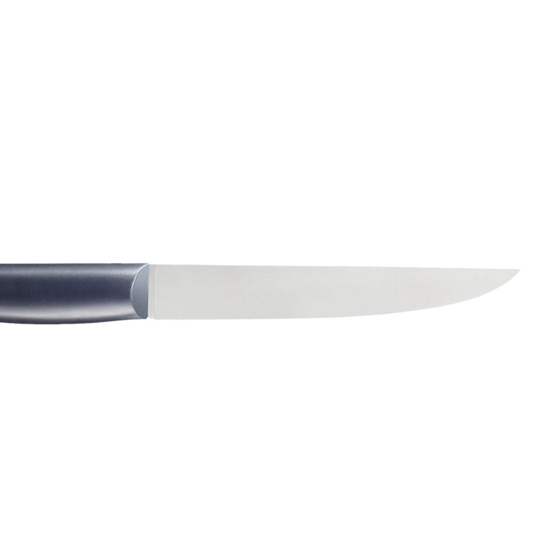 Opinel | Intempora N°220 Carving Knife