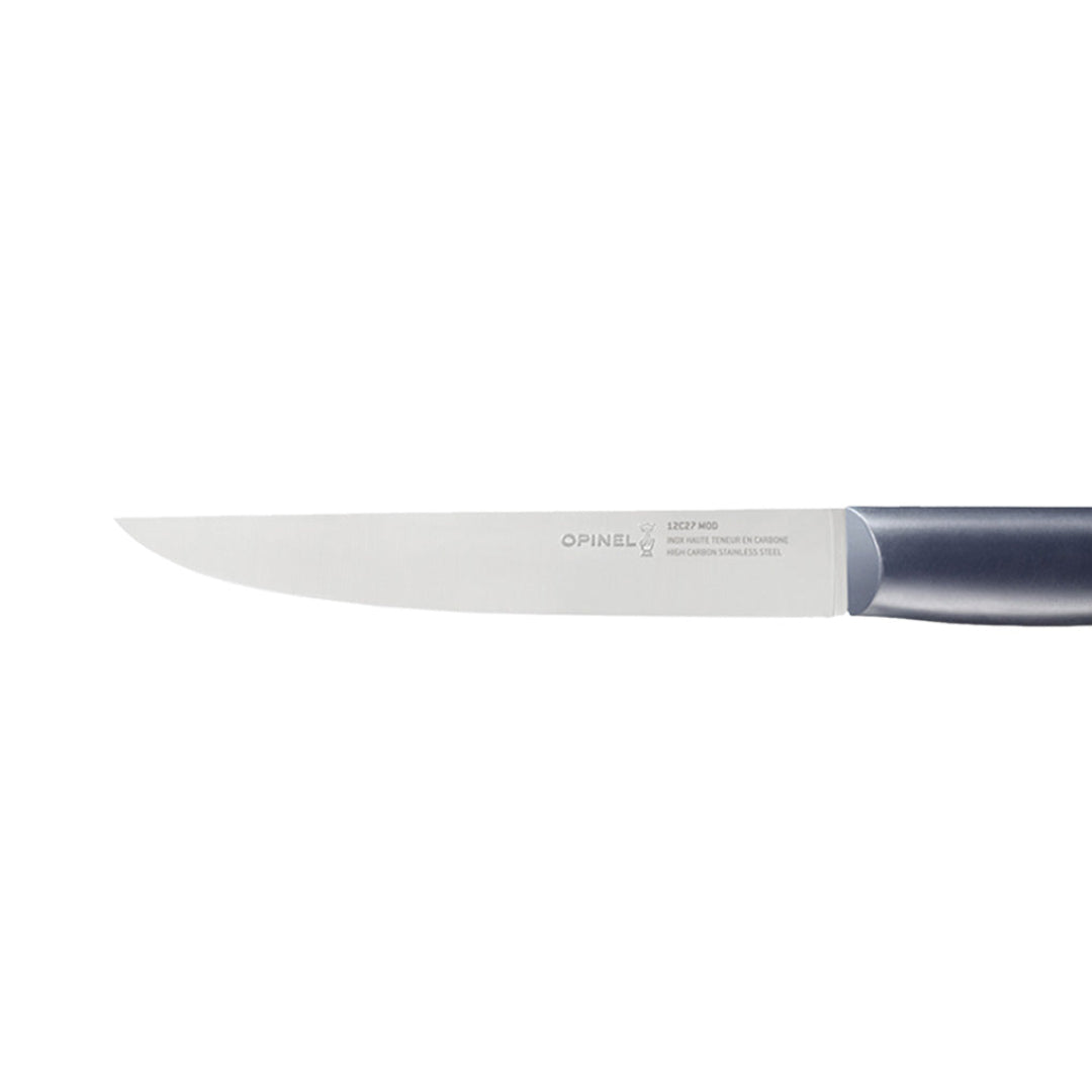 Opinel | Intempora N°220 Carving Knife