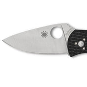 SpyderCo | Persistence Lightweight