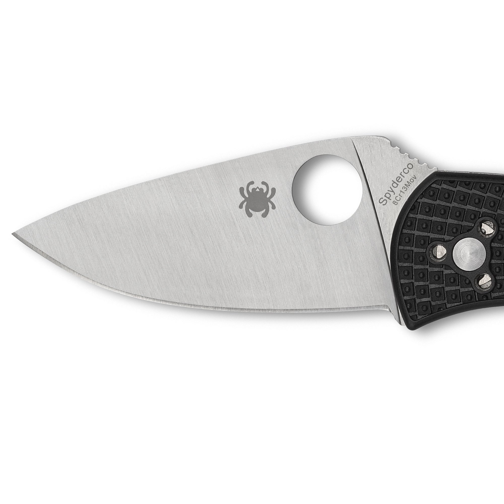 SpyderCo | Persistence Lightweight