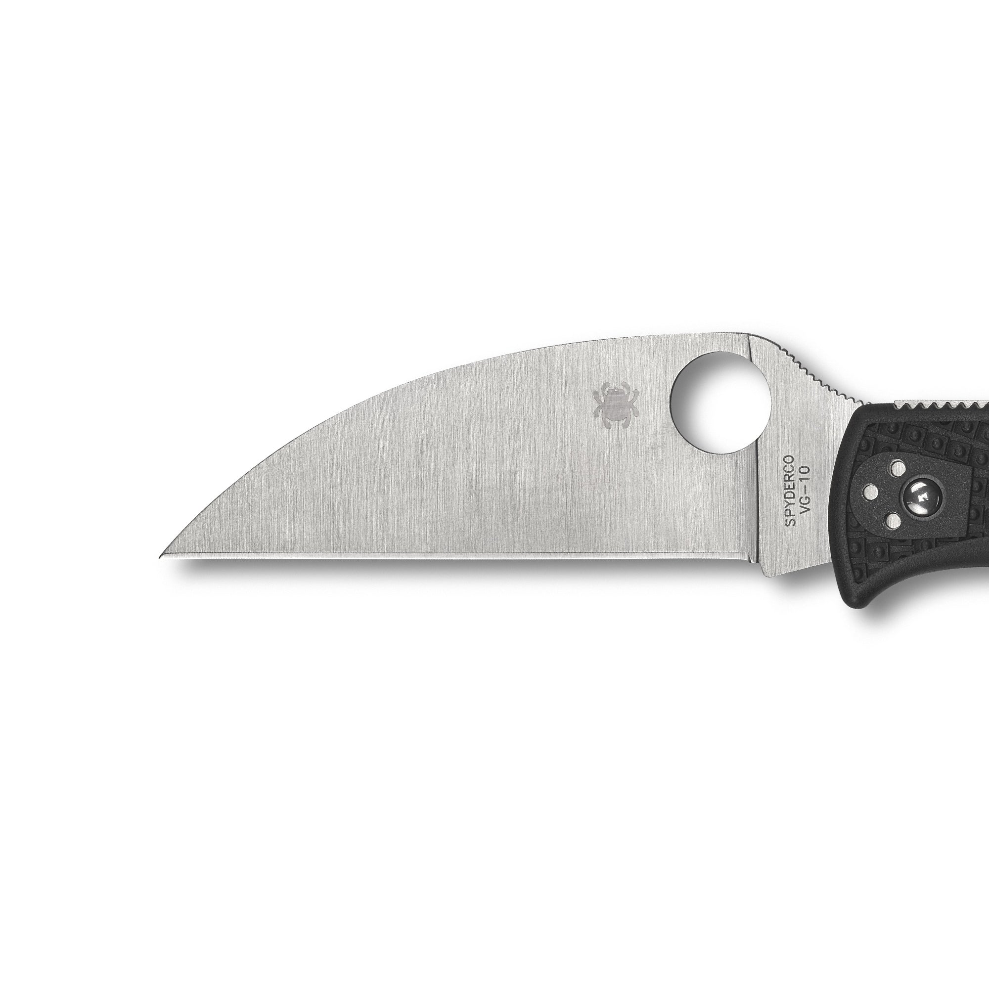 Spyderco | Endela Lightweight Wharncliffe PlainEdge