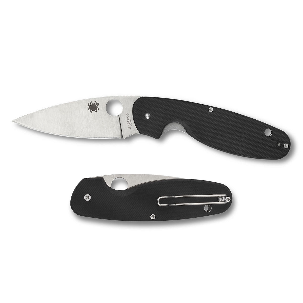 SpyderCo | Emphasis
