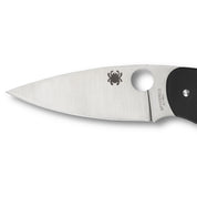 SpyderCo | Emphasis