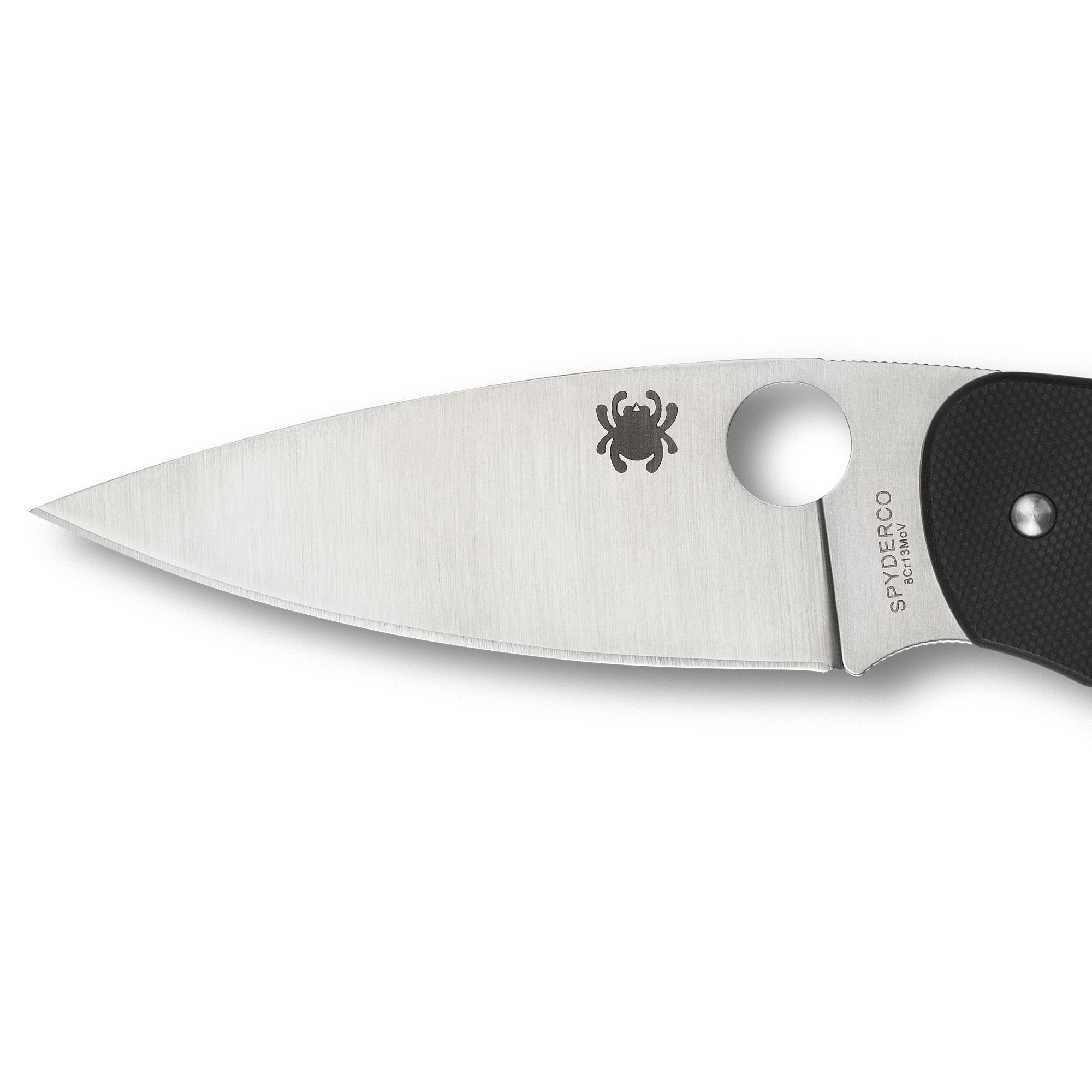 SpyderCo | Emphasis