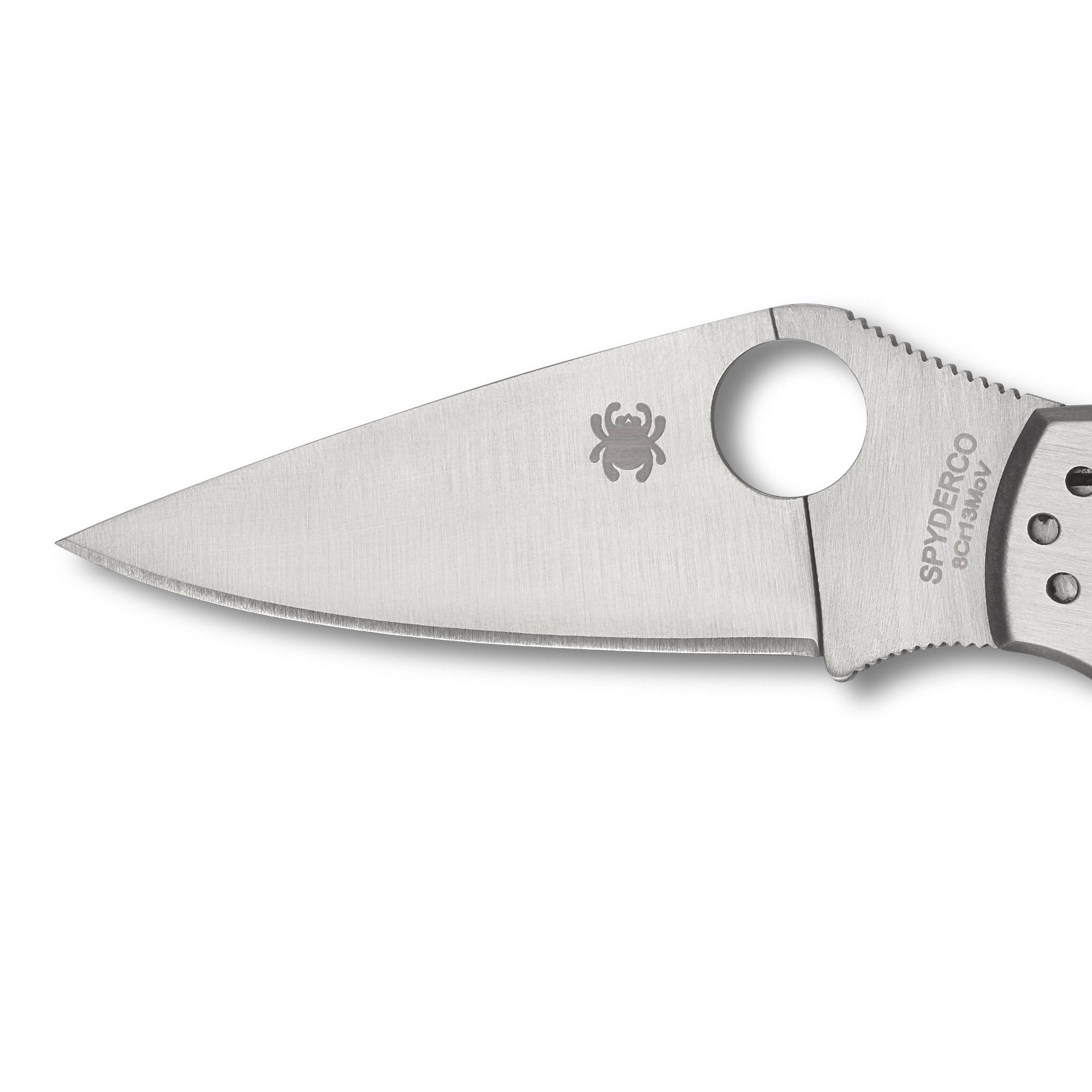 SpyderCo | UpTern