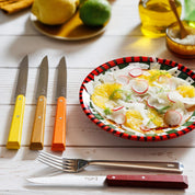Opinel | Bon Appétit Table Knives N°125 - Set of 4