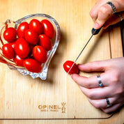 Opinel | N°226 Serrated Knife Intempora