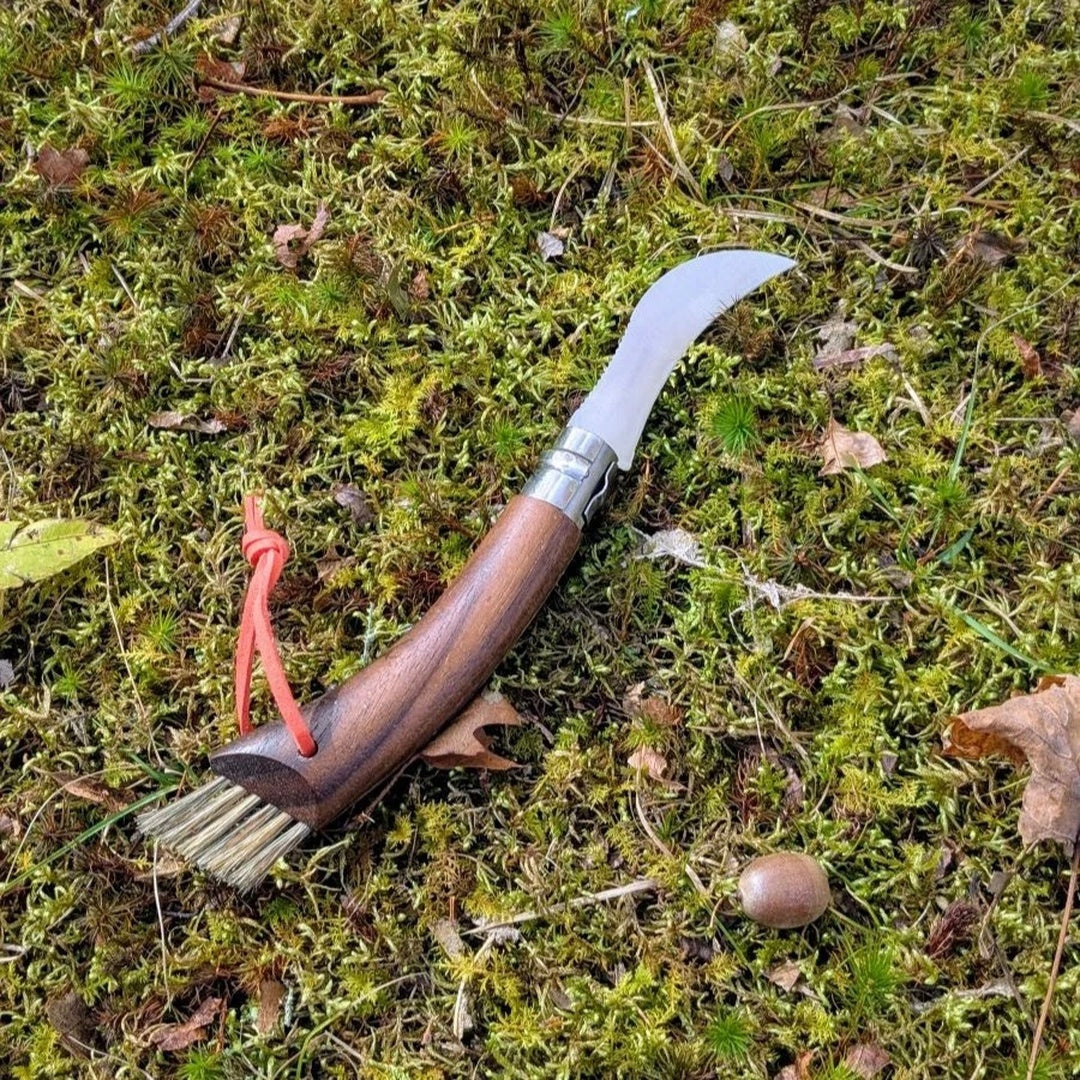 Opinel | N°08 Mushroom Knife Black Walnut + Wooden Gift Box