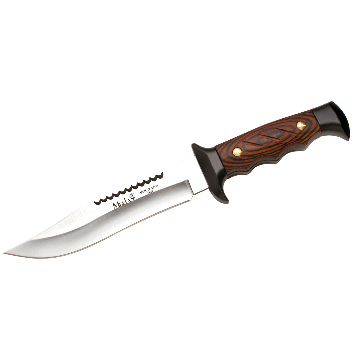 Muela | Military Knife - Coral Wood Handle