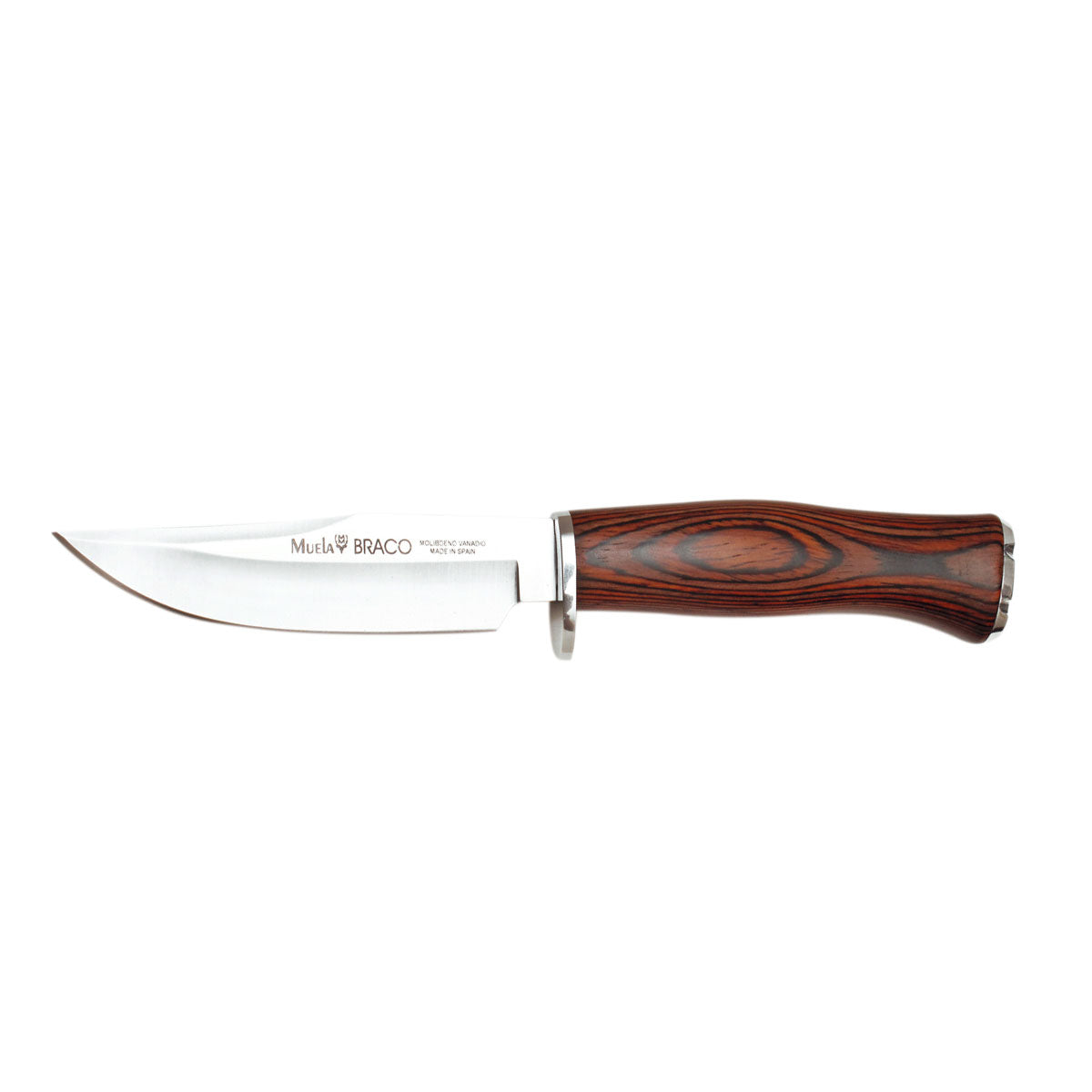 Muela | BRACO-11R - Coral Handle Knife