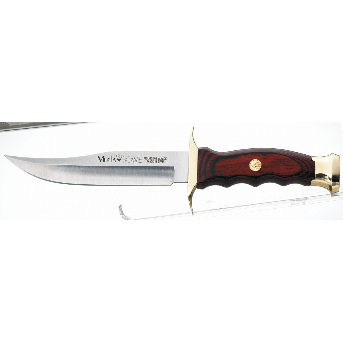 Muela | Bowie 14 - Coral Wood Handle Knife