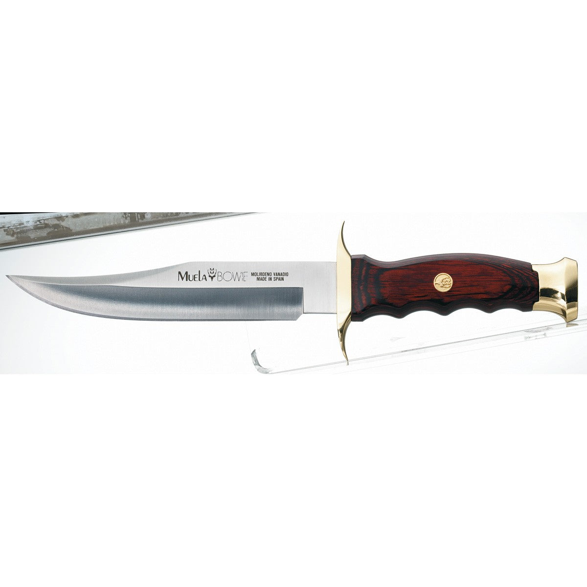 Muela | Bowie 16 - Coral Wood Handle Knife