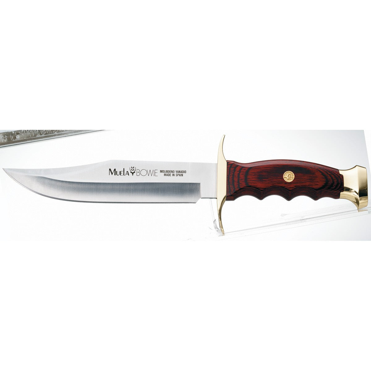 Muela | Bowie 18 - Coral Wood Handle Knife