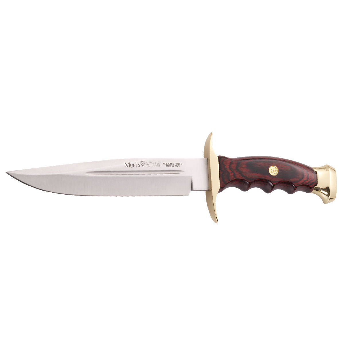 Muela | Bowie BW-18L - Coral Wood Handle Knife