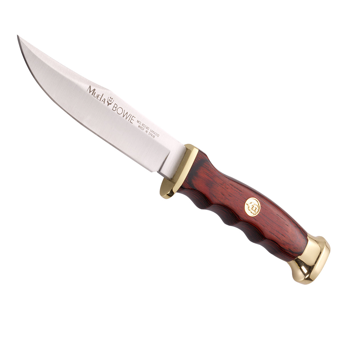 Muela | BWF-10 - Coral Handle Knife
