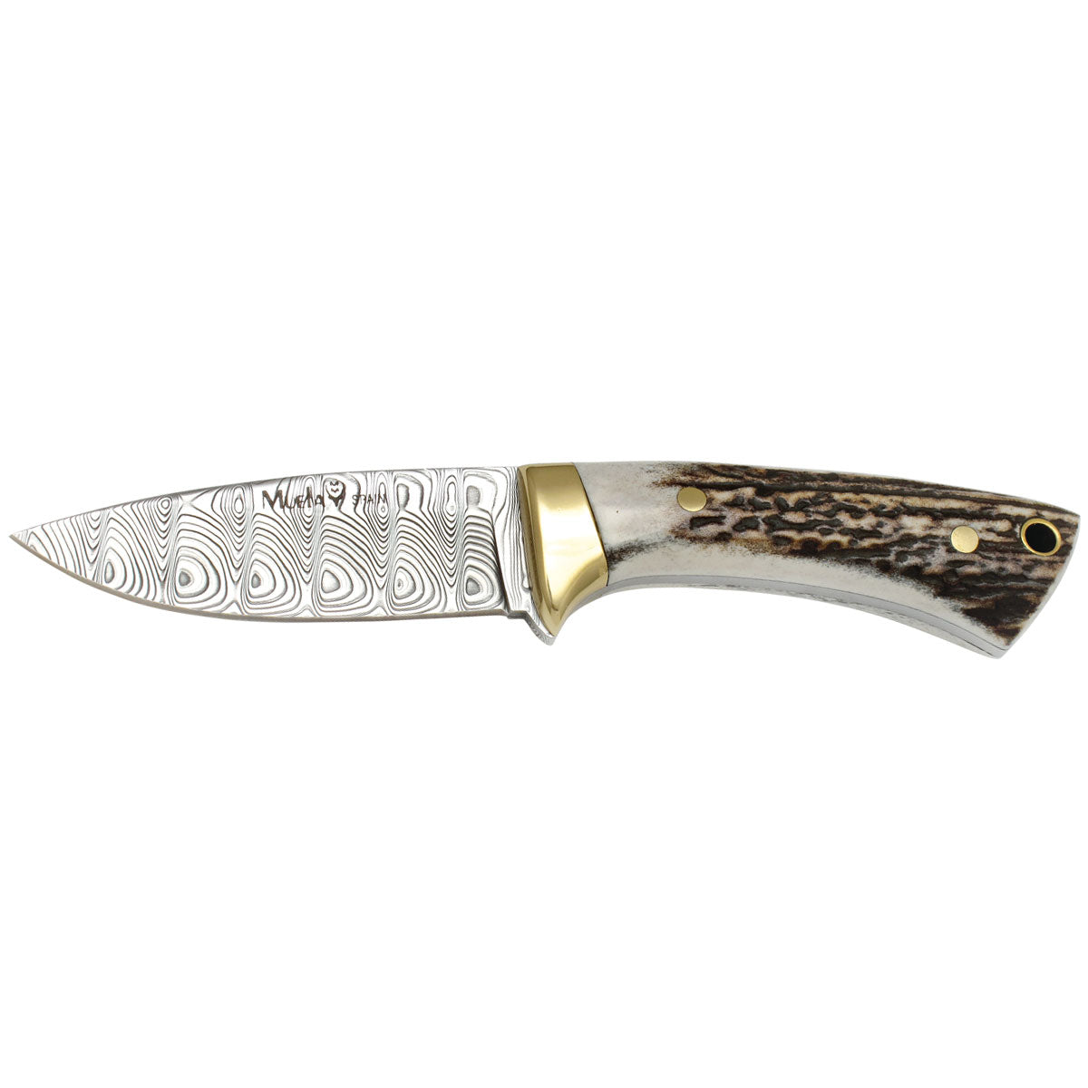 Muela | Colibri COL-7DAM - Stag handle Knife
