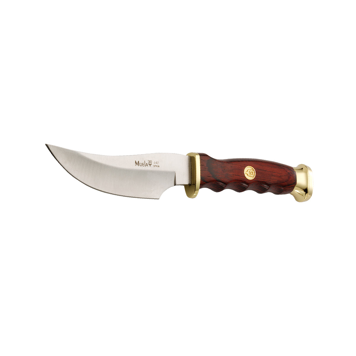 Muela | DP-10M - Coral Handle Knife