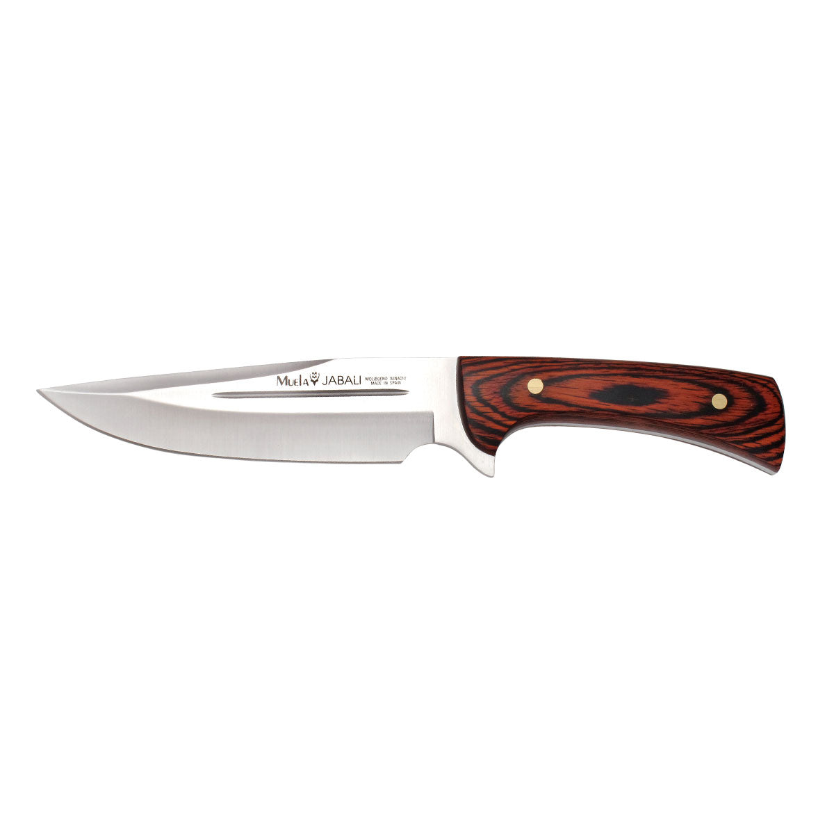 Muela | JABALI Knife - 17E - Coral Handle