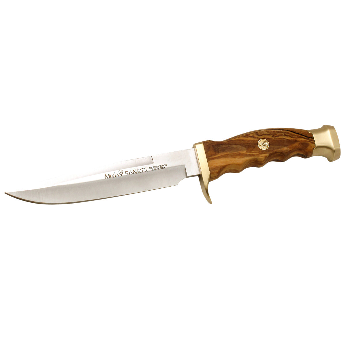 Muela | Ranger Knife - 14.OL - Olive Wood Handle