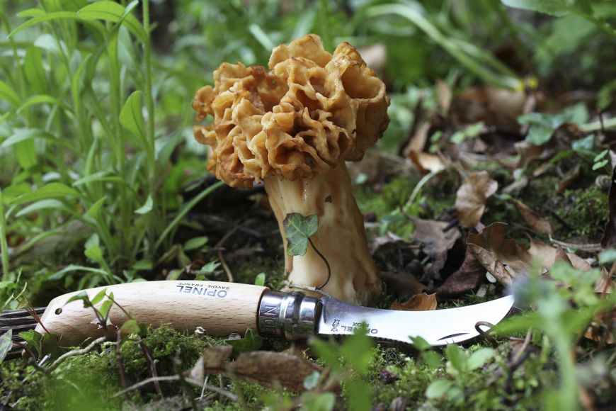 Opinel | Mushroom Knife 